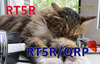 RT5R Image